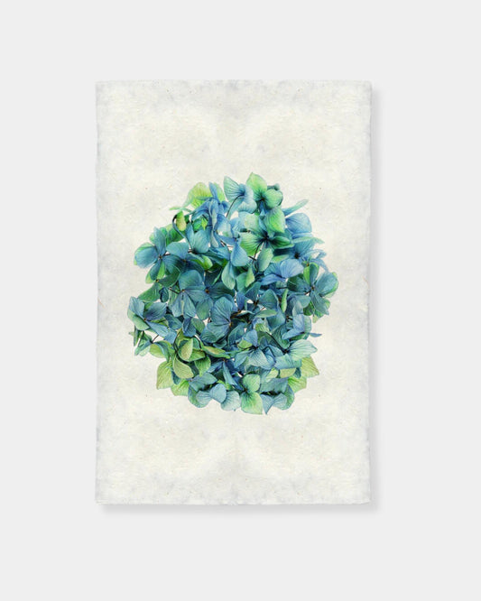 HYDRANGEAS #2 - PRINT 9x14