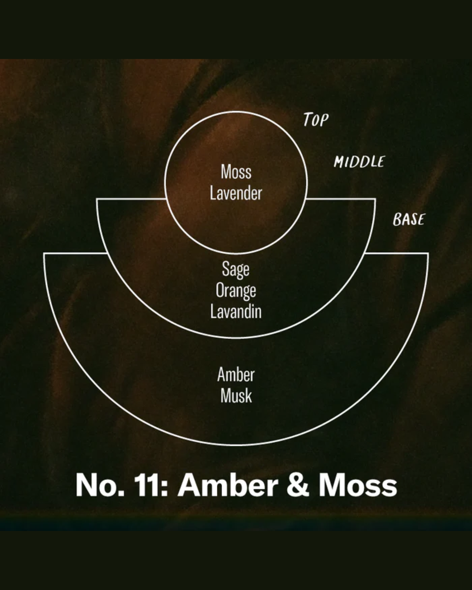 NO. 11 AMBER & MOSS - REED DIFFUSER