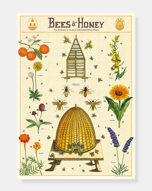 BEES & HONEY 2 - POSTER