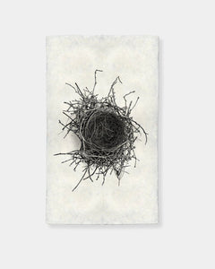 NEST STUDY #2 - PRINT