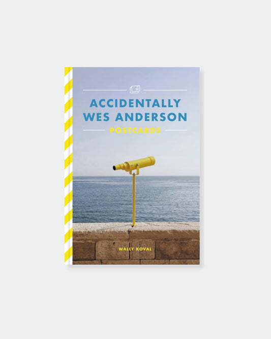 ACCIDENTALLY WES ANDERSON BOOK