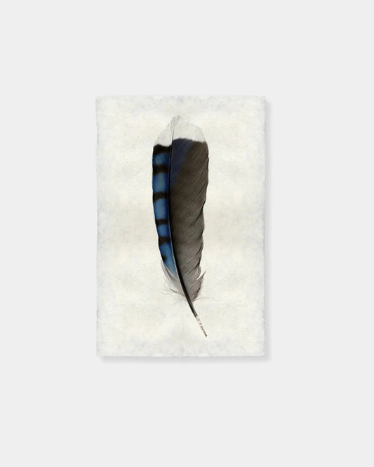 BLUE JAY FEATHER - PRINT 9x14