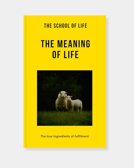 SCHOOL OF LIFE: THE MEANING OF LIFE