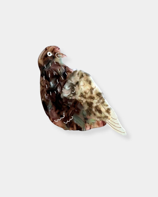 HAND-PAINTED PIGEON CLAW HAIR CLIP