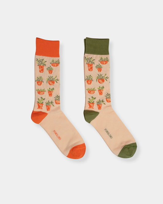 PIMA SOCK PLANT LIFE - SET 2