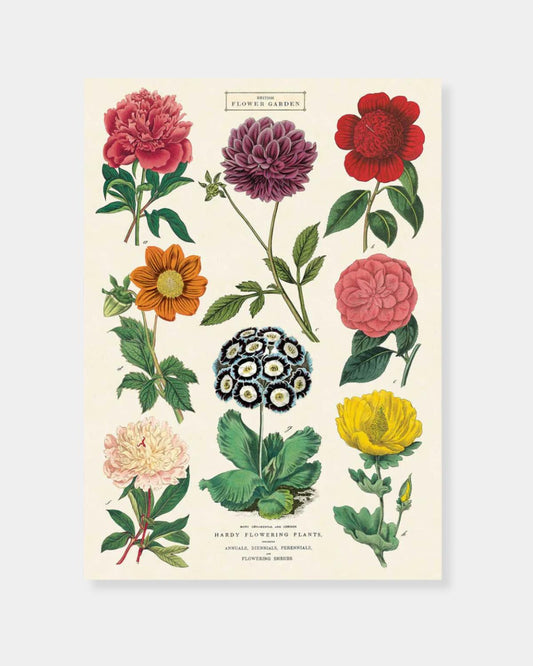 BOTANICA 2 - POSTER