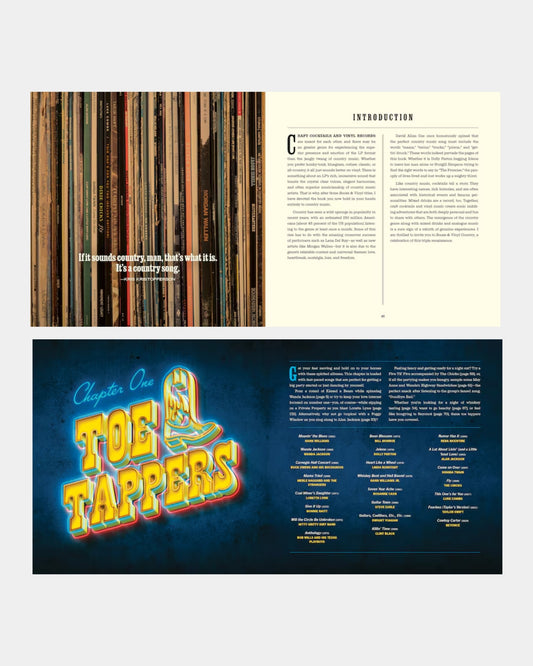 BOOZE & VINYL COUNTRY: 100 SPIRITED MUSIC-AND-DRINK PAIRINGS