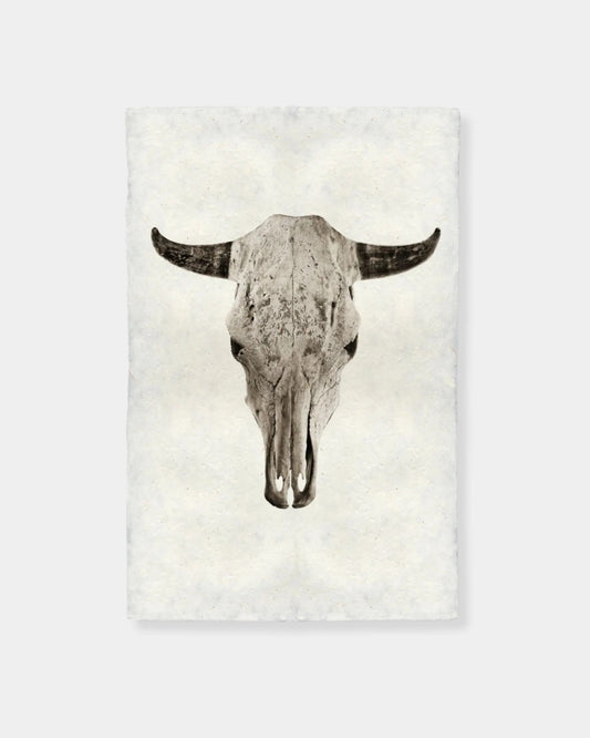 STEER SKULL - PRINT 9x14