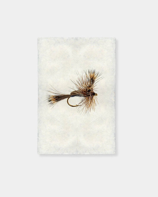 HUMPY - PRINT 9x14 | Stonewaters