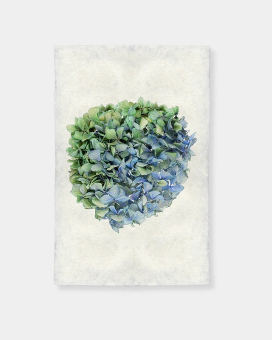 HYDRANGEAS 7 PRINT - 20X30 | Stonewaters