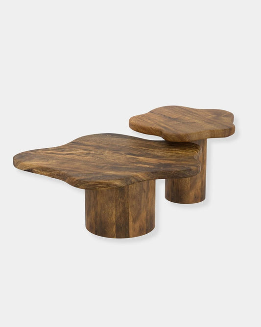 MAYAL 2PC NESTING COFFEE TABLE SET | Stonewaters