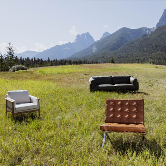 Modern Mountain Living