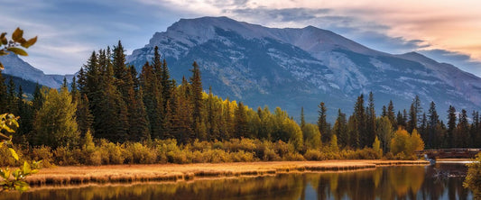 Our Top Larch Hikes This Fall - Stonewaters