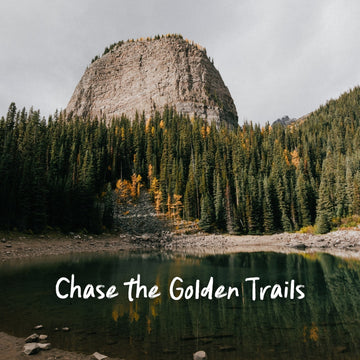 Our Top Larch Hikes This Fall - Stonewaters