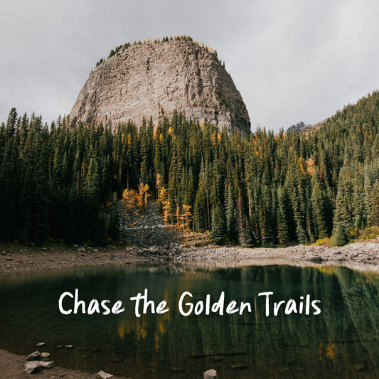 Our Top Larch Hikes This Fall - Stonewaters