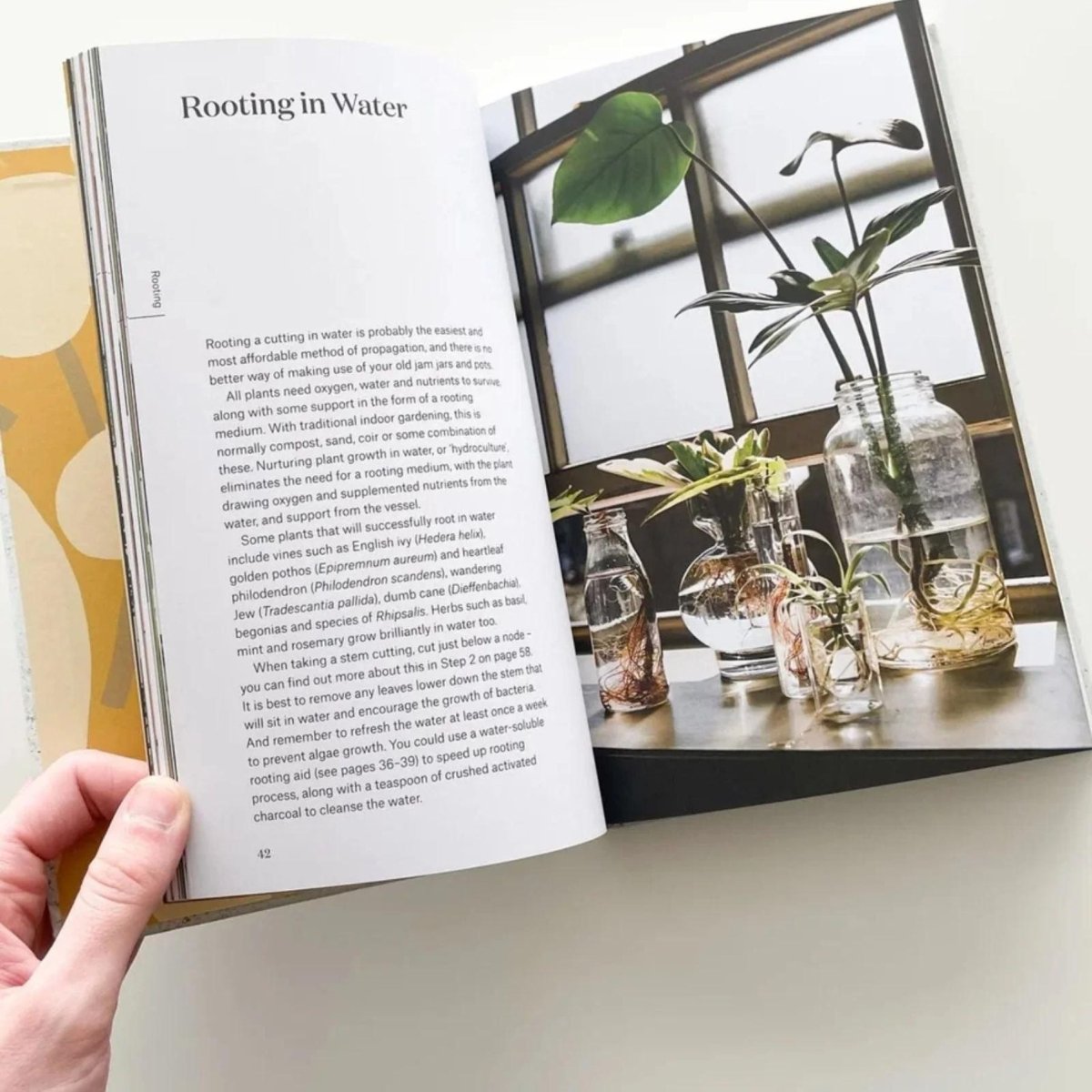 Nature Books Collection | Stonewaters