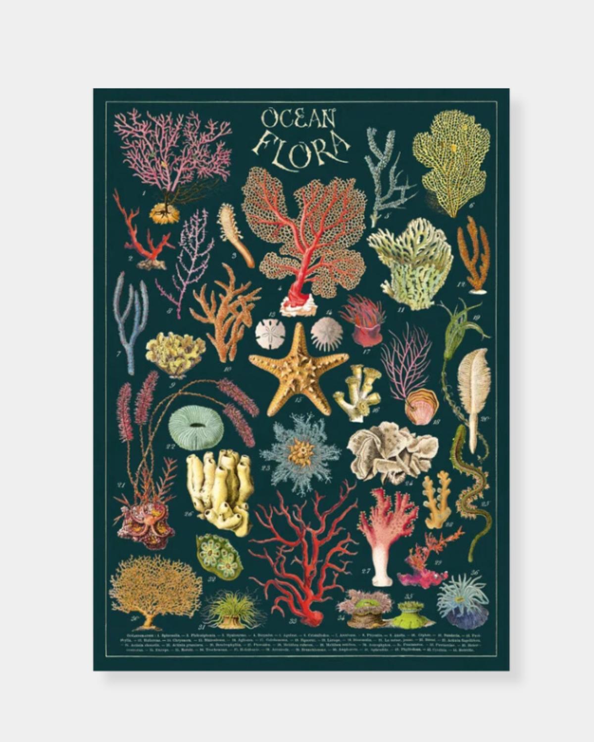 OCEAN FLORA - POSTER