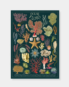 OCEAN FLORA - POSTER