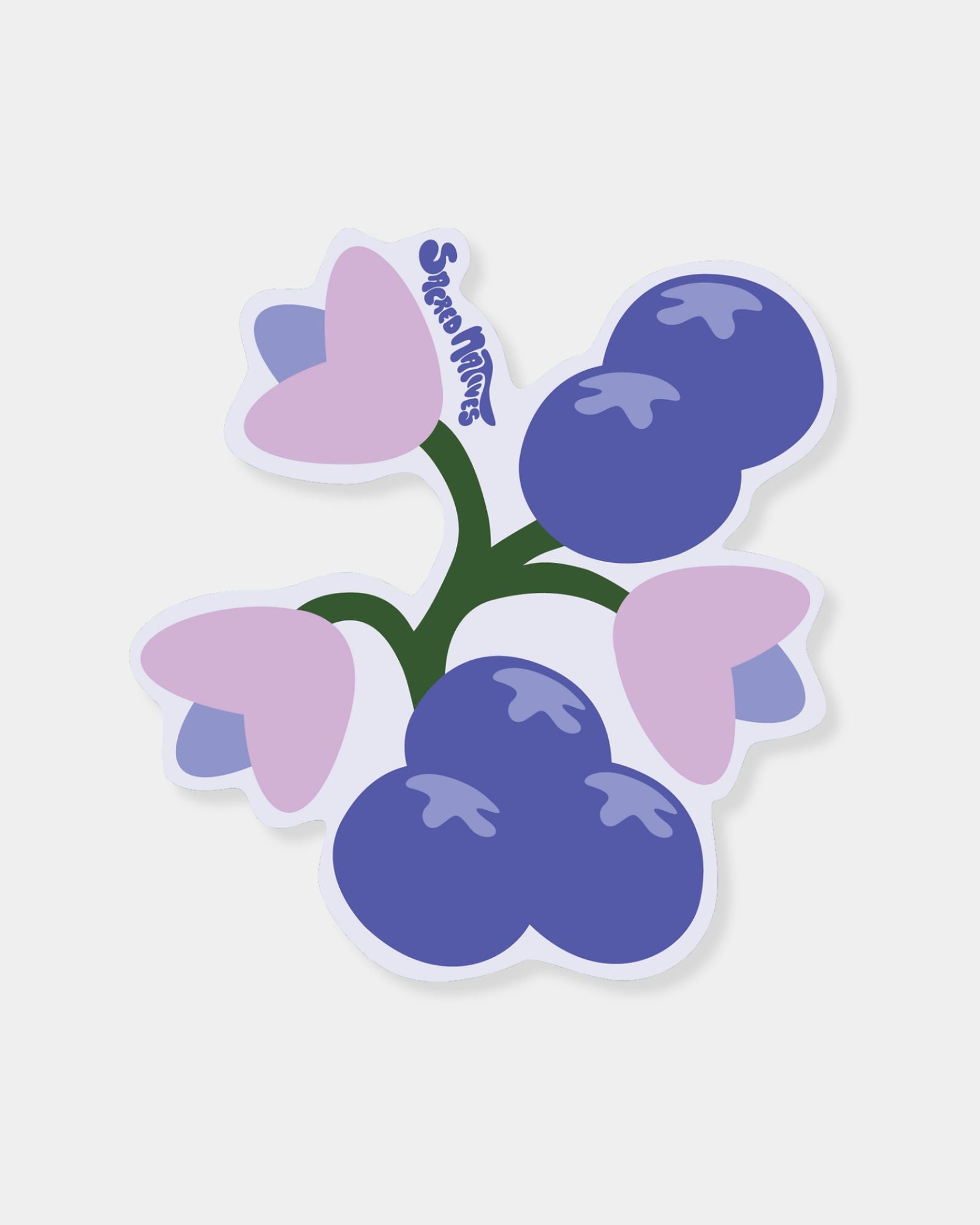 BLUEBERRY - STICKER