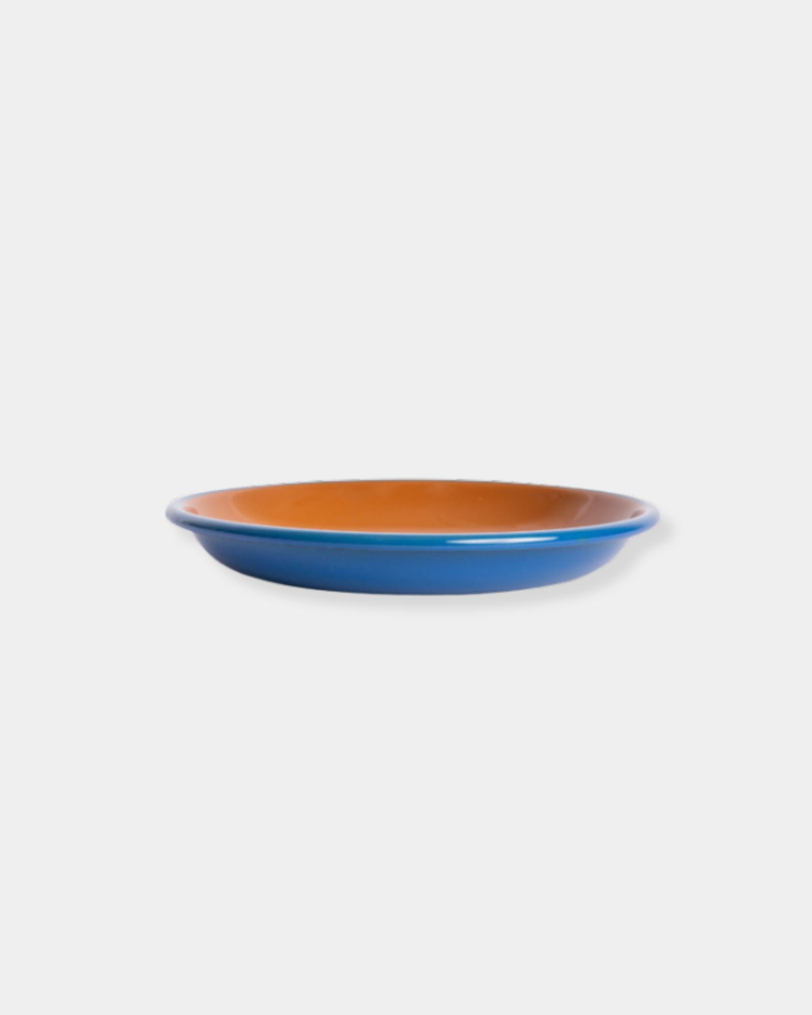 BLUE & BROWN DINNER PLATE