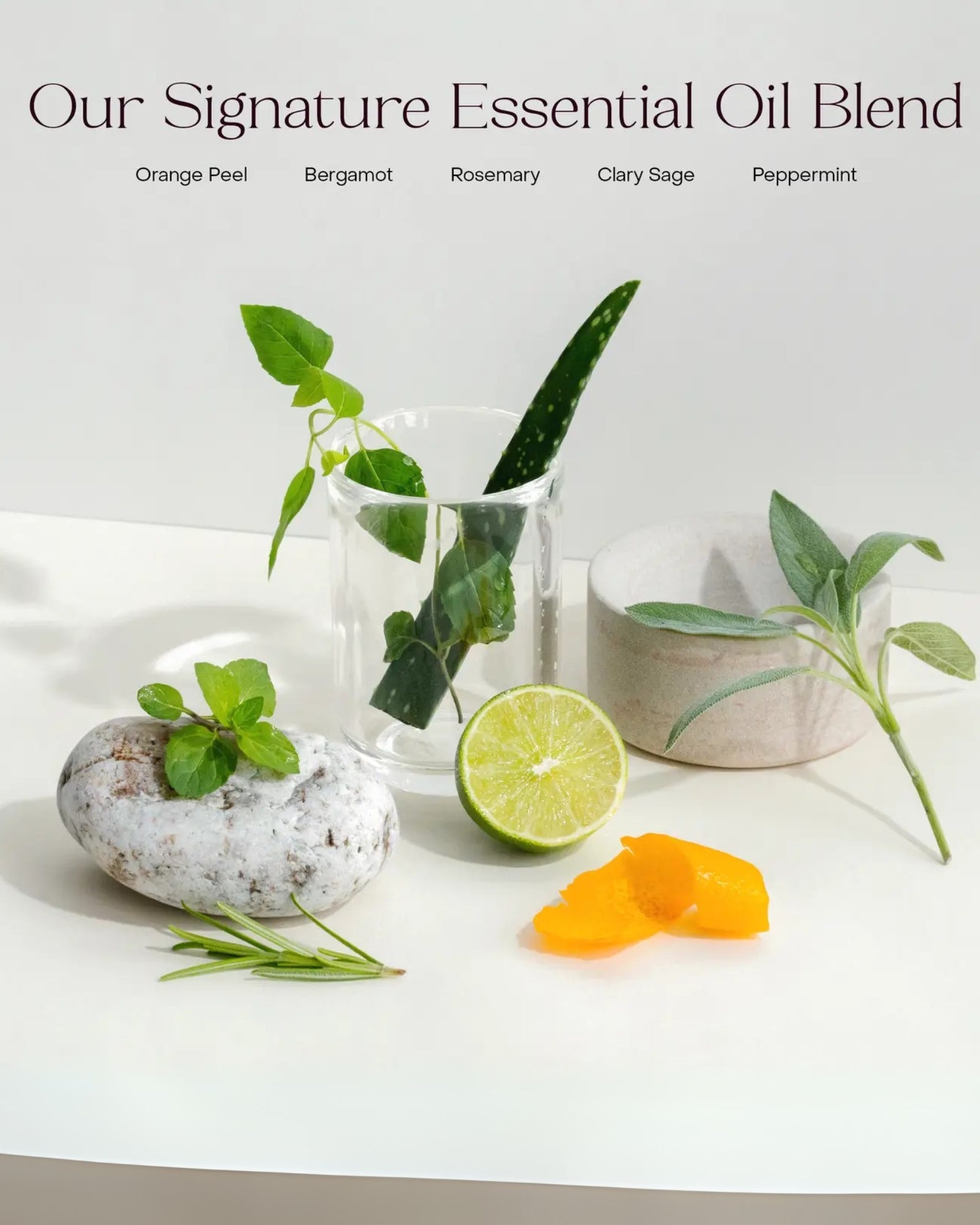 THE BODY WASH CONCENTRATE
