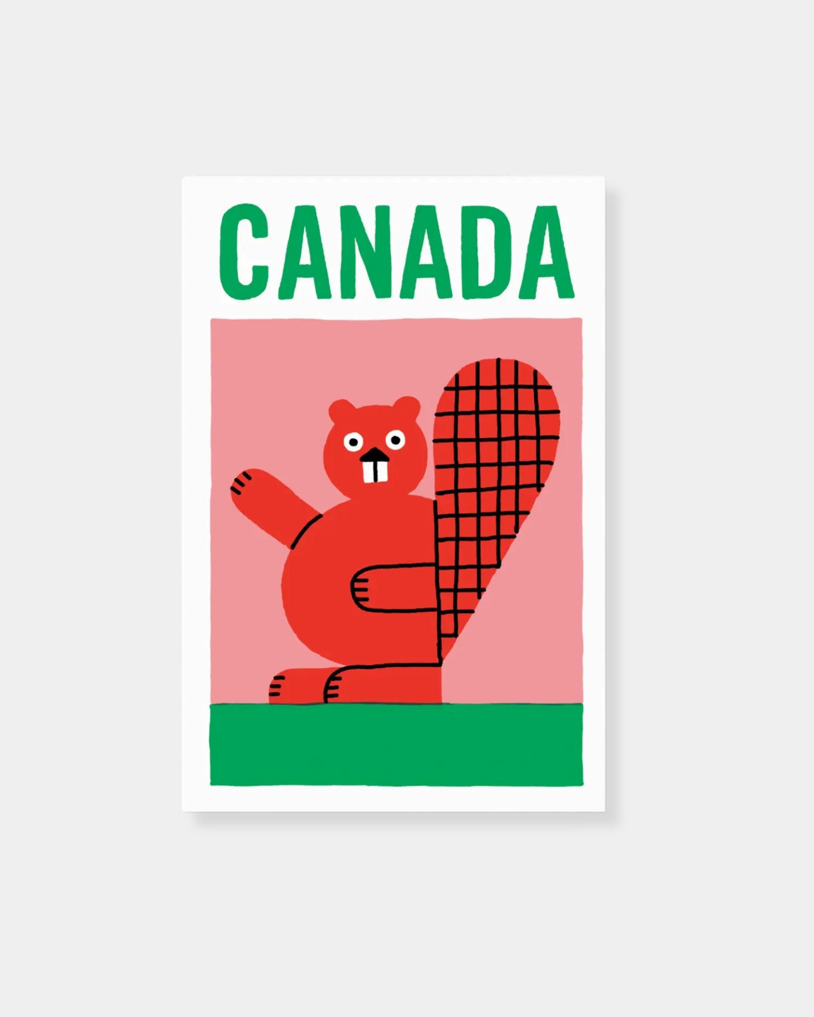 BEAVER - POSTCARD