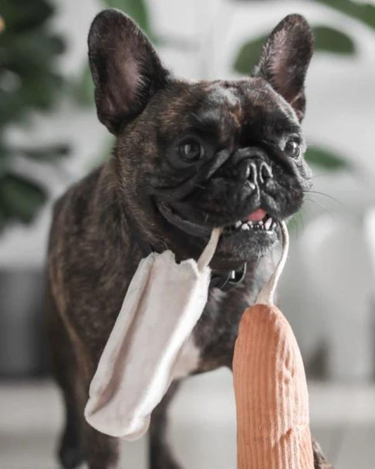 MINI BAGUETTE - PET TOY