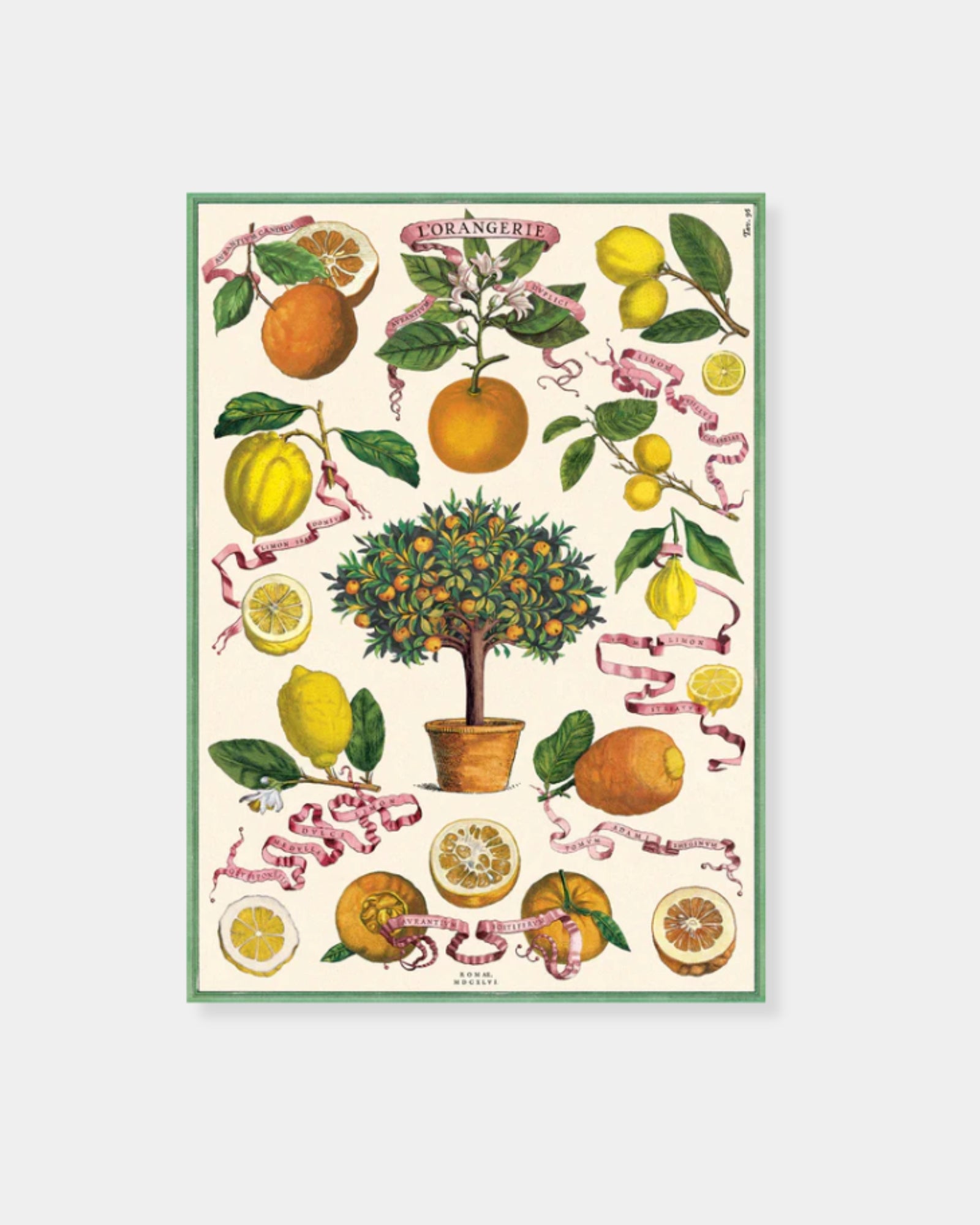L'ORANGERIE - POSTER