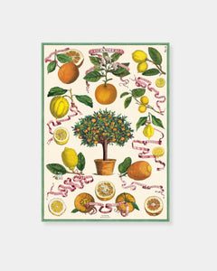 L'ORANGERIE - POSTER