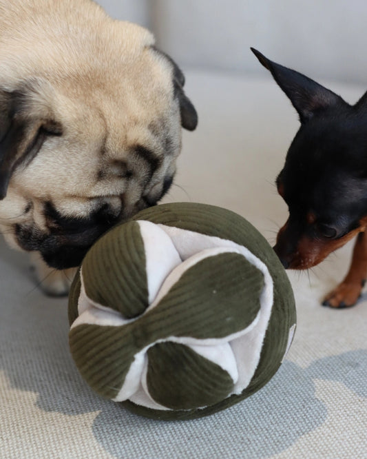 PINE MONTI - PET TOY