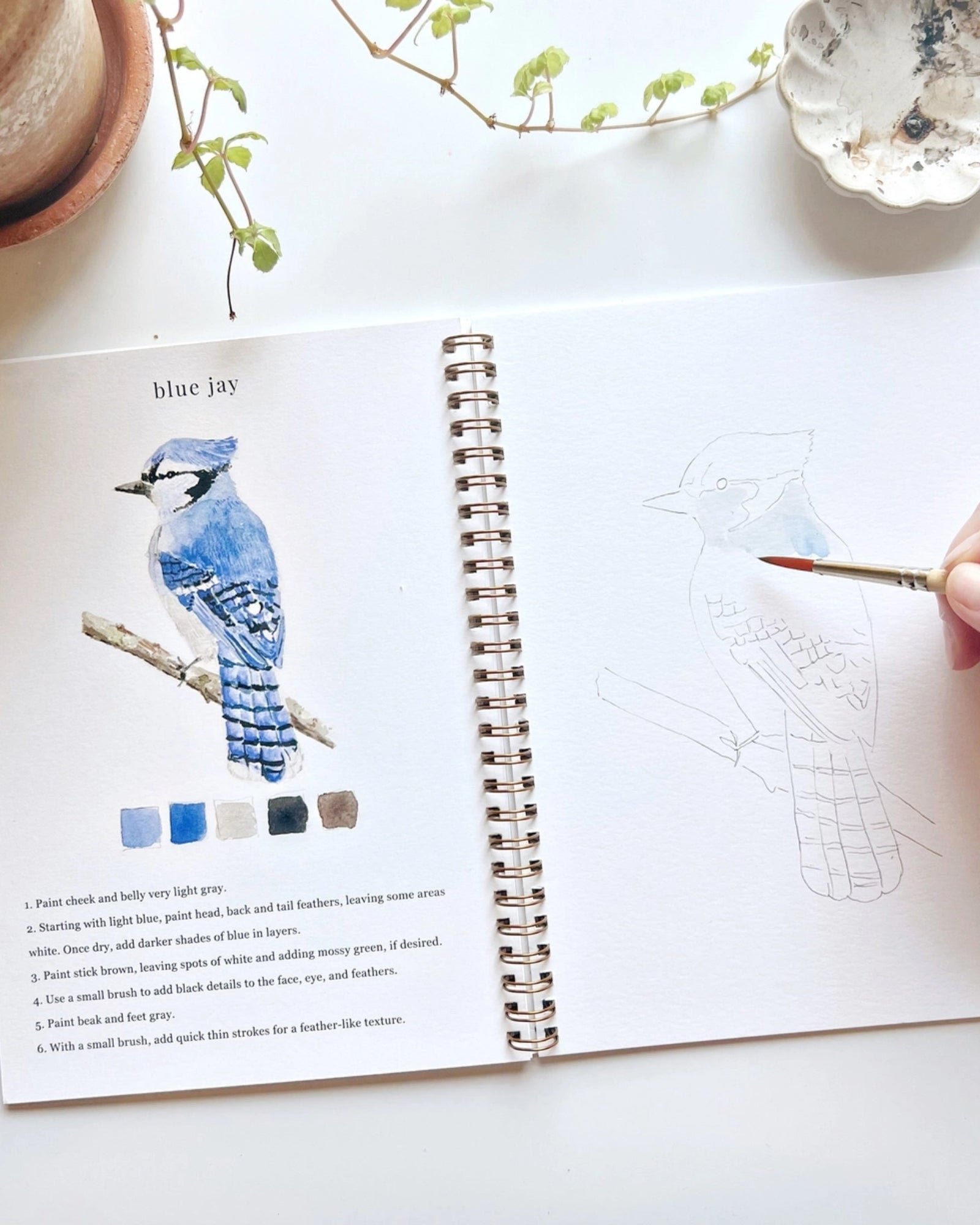 BIRDS WATERCOLOUR WORKBOOK