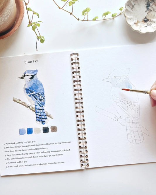 BIRDS WATERCOLOUR WORKBOOK