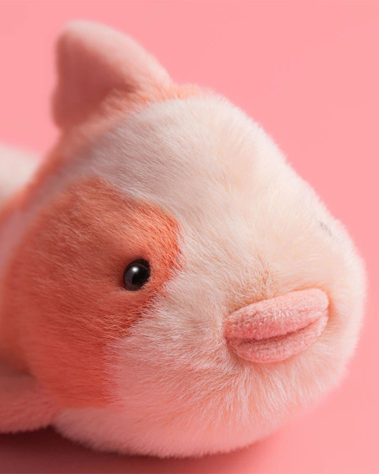FANCY CARP - PLUSH TOY