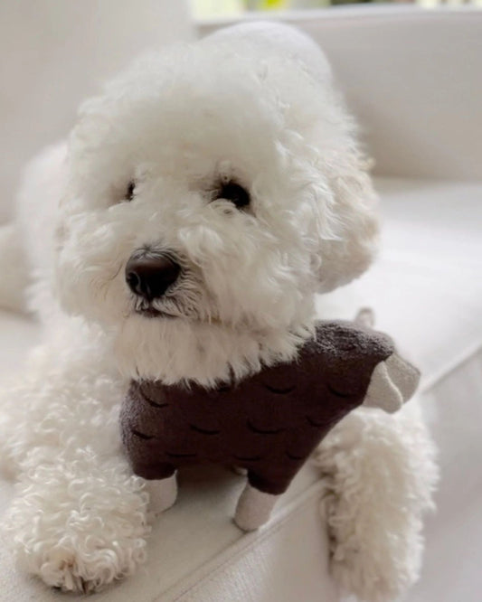 BARRY - PET TOY