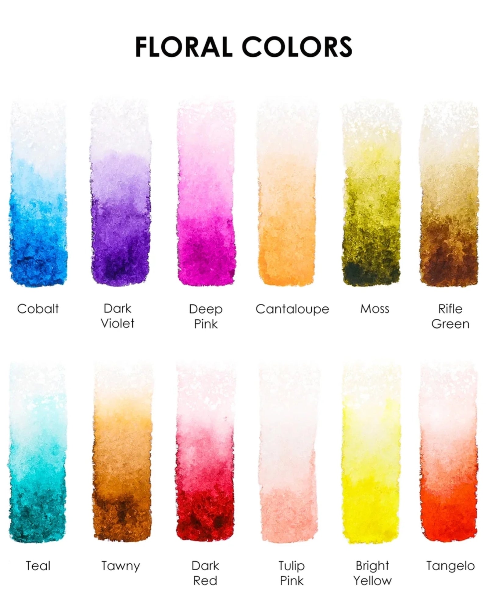 WATERRCOLOUR POCKET SET OF 12 - FLORAL COLOURS