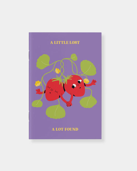 A LITTLE LOST NOTEBOOK