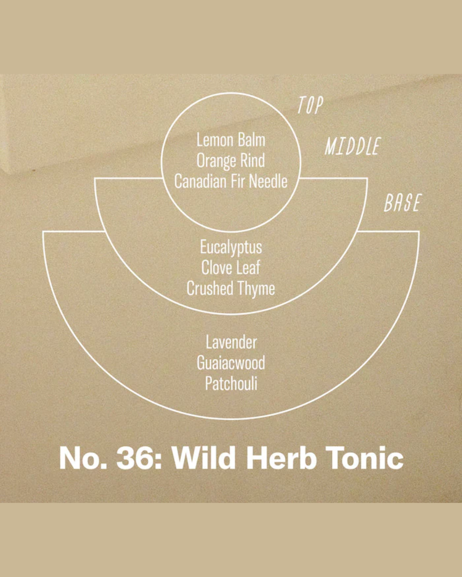 NO. 21 WILD HERB TONIC REED - DIFFUSER