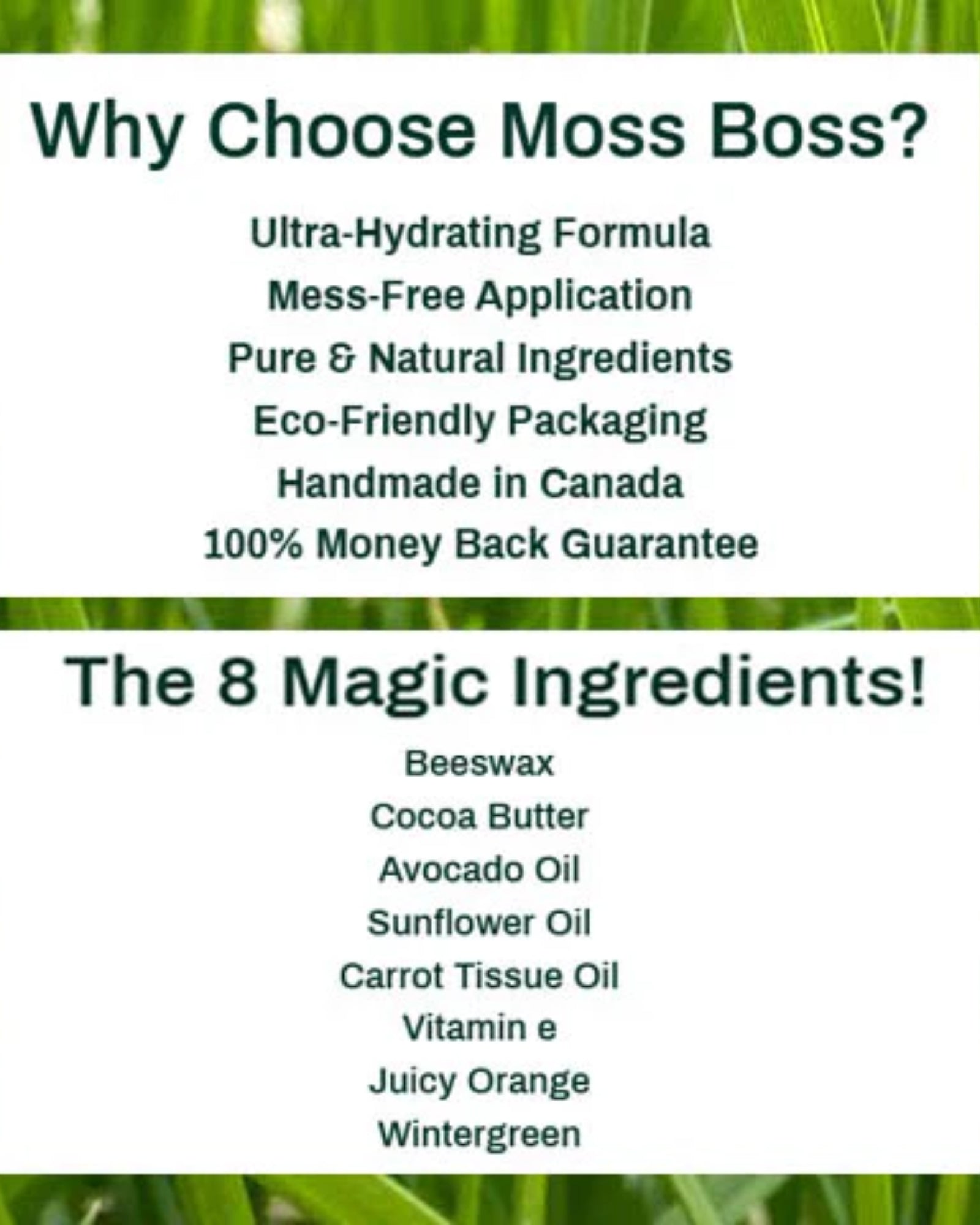 MOSS BOSS - FOOT BALM