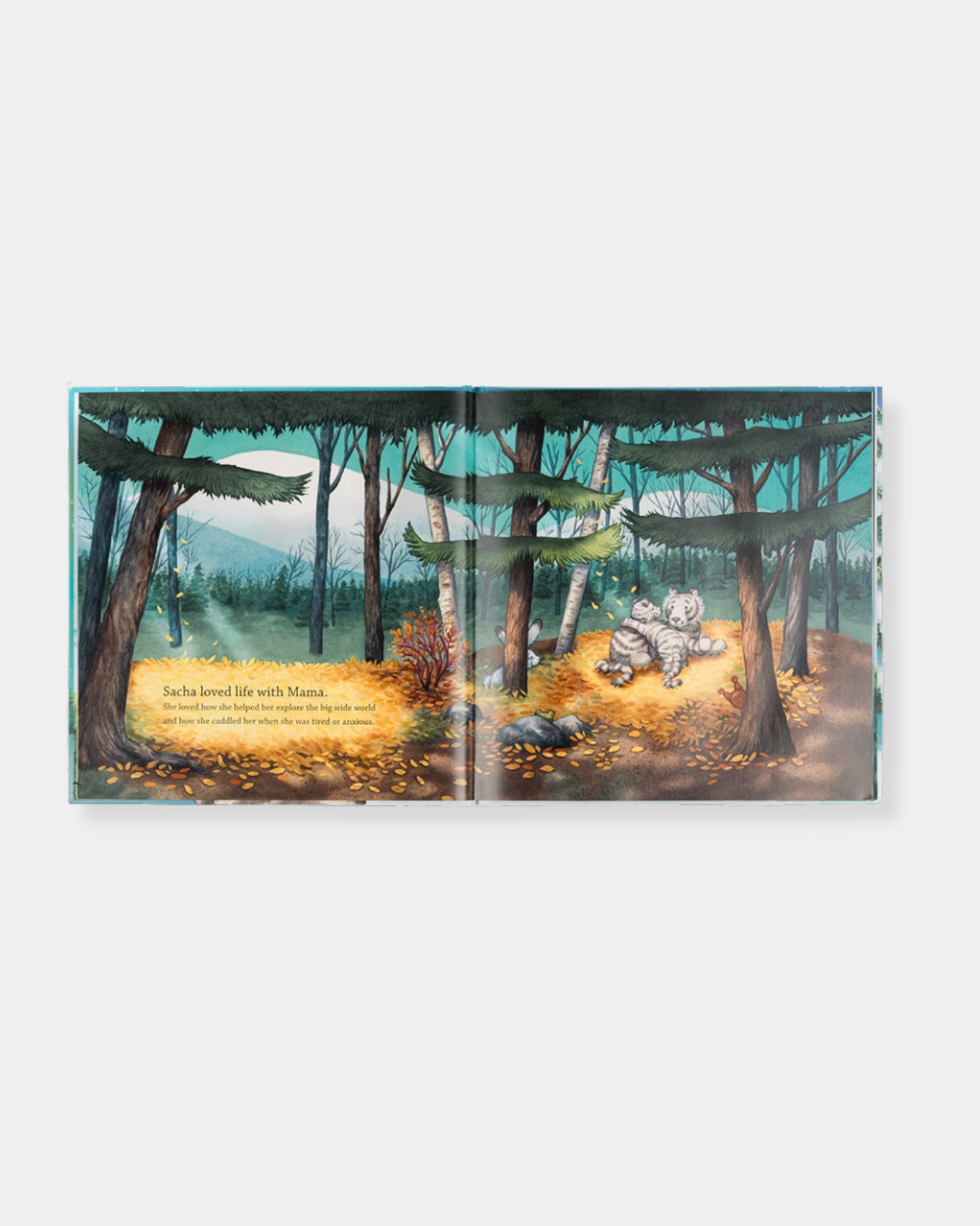 SACHA AND THE MOST WONDERFUL THING BOOK