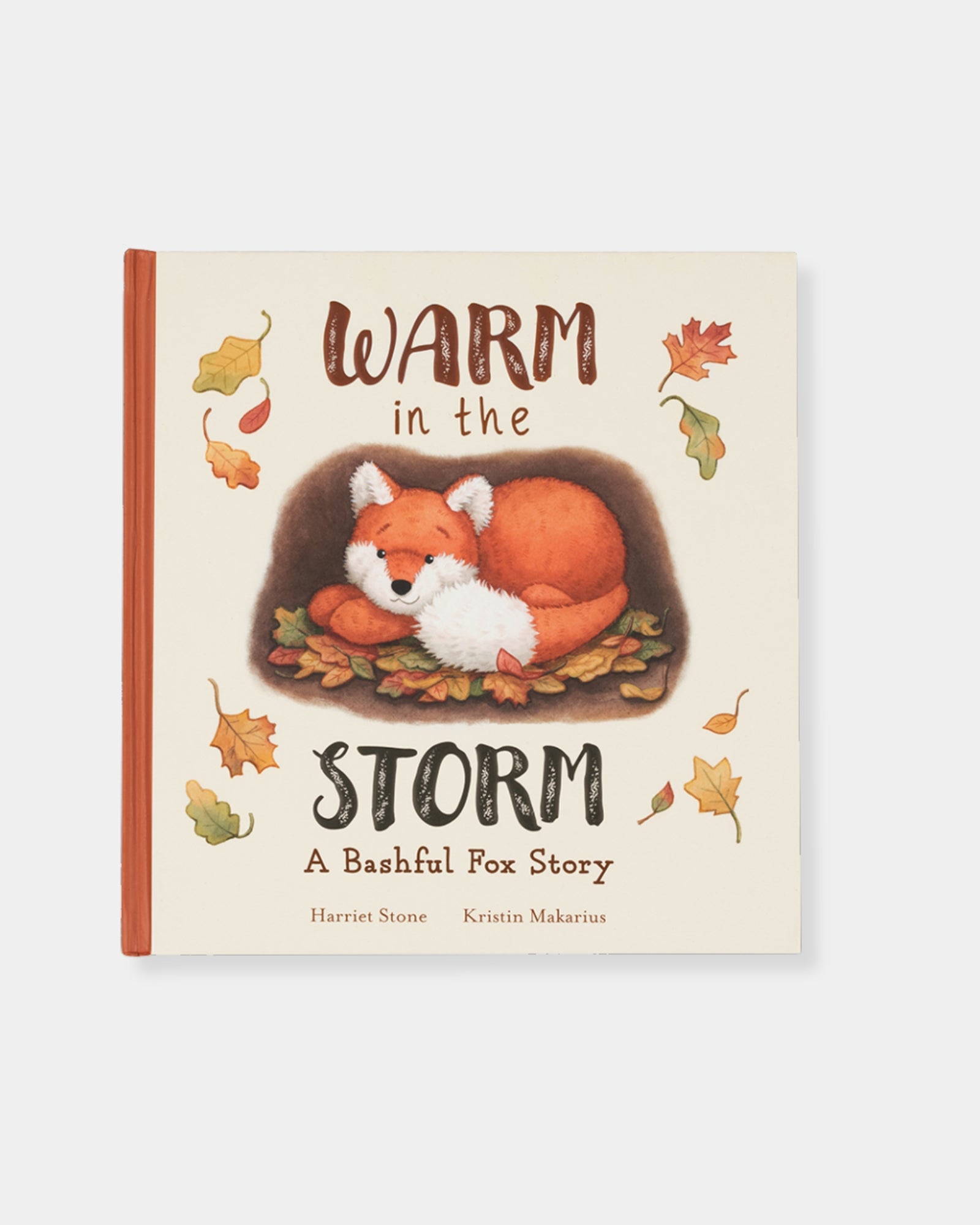 WARM IN THE STORM BOOK