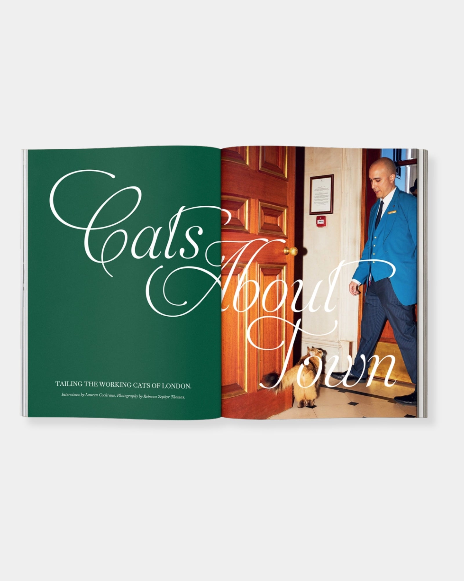 CATNIP MAGAZINE: VOLUME 2