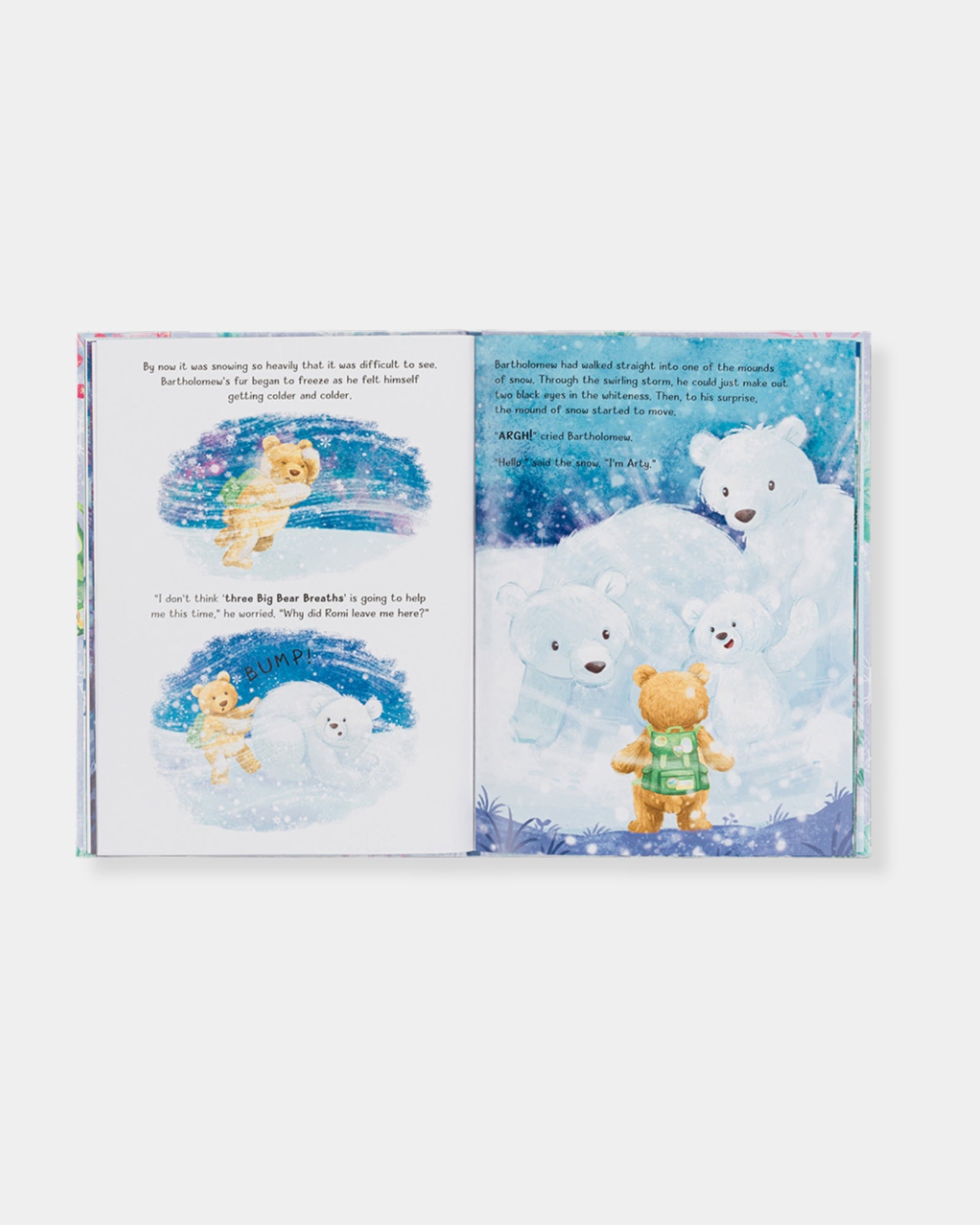 BARTHOLOMEW BEAR AND THE SNOW GIANTS BOOK