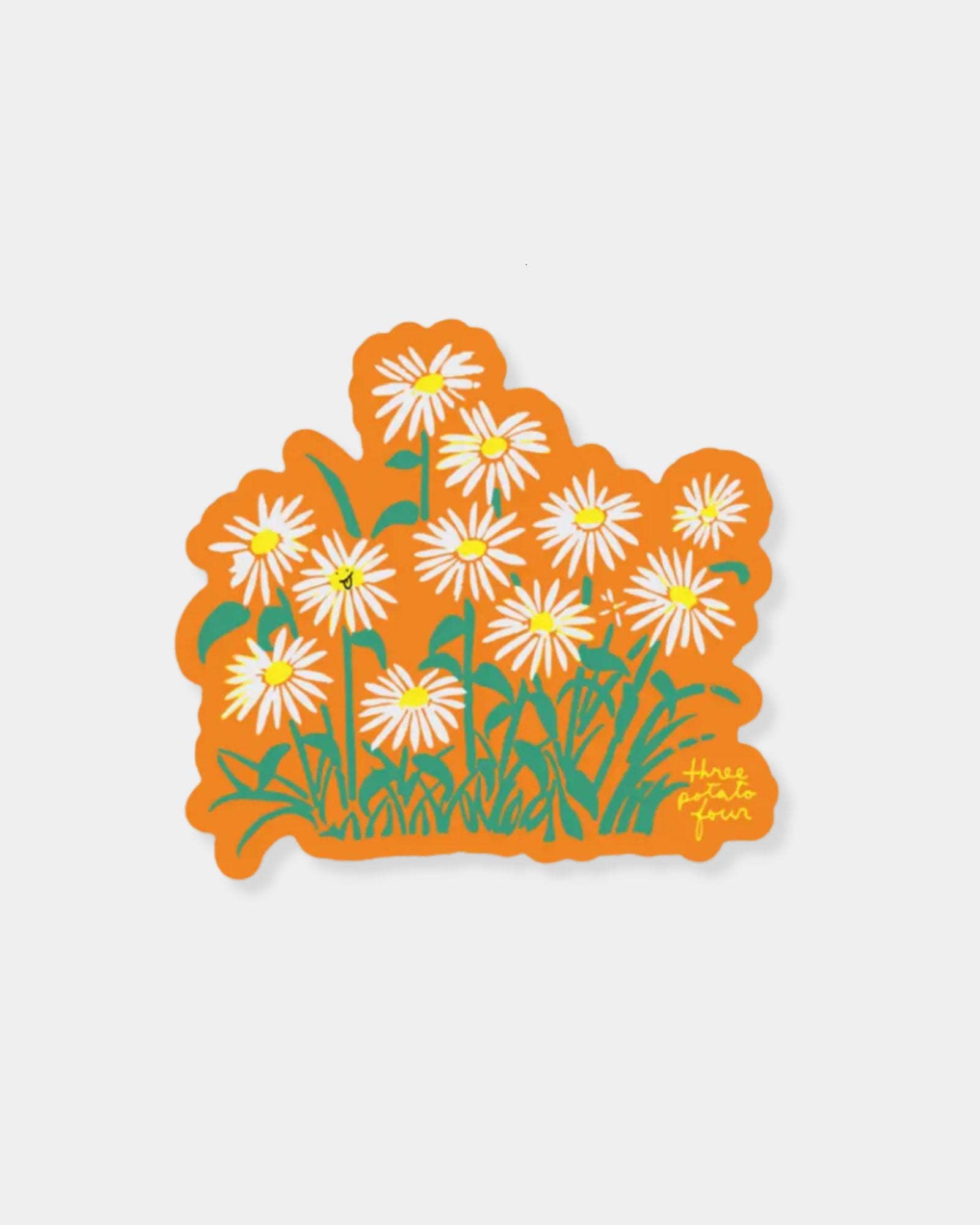 DAISIES - STICKER