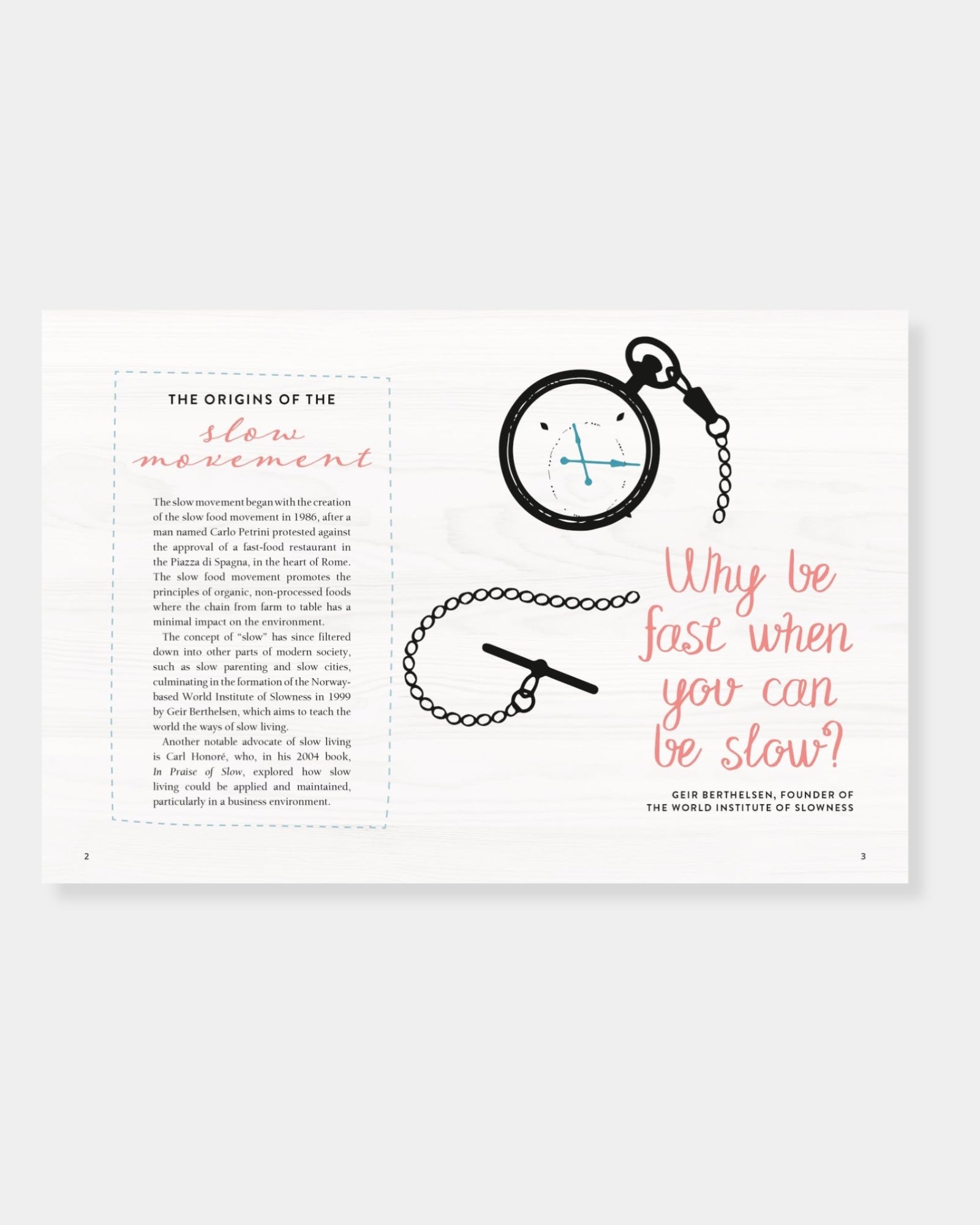 THE ART OF SLOWING DOWN - BOOK