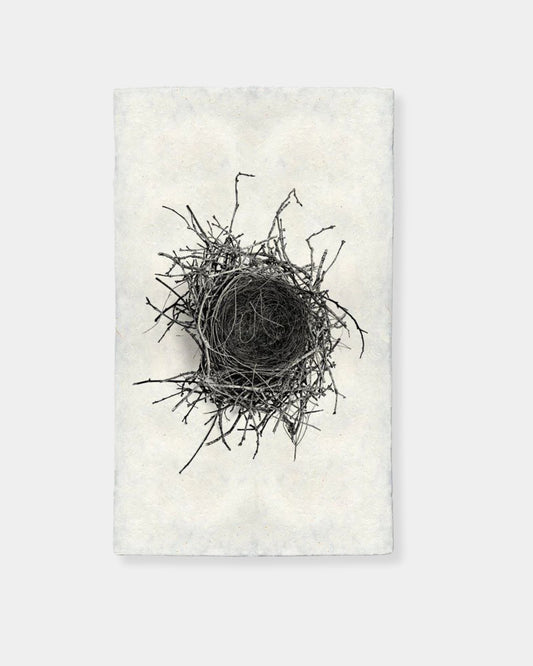 NEST STUDY #2 - PRINT