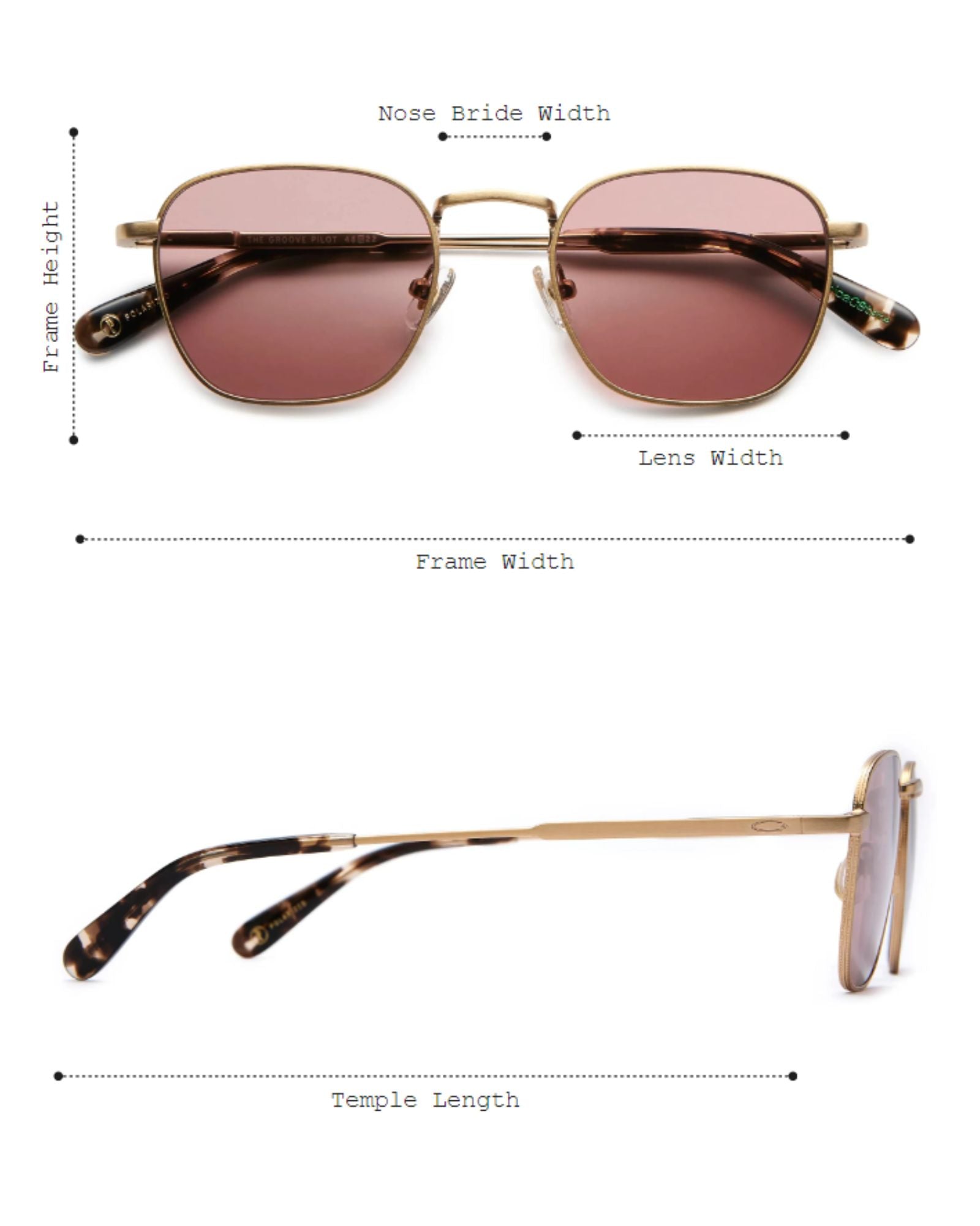 GROOVE PILOT DESERT TORTOISE - SUNGLASSES