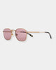 GROOVE PILOT DESERT TORTOISE - SUNGLASSES