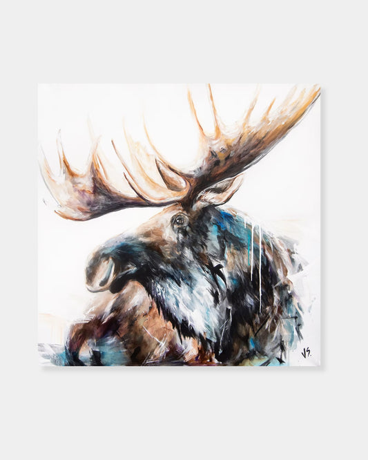 MAJESTIC MOOSE - CARD