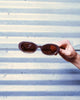 SWEET LEAF ESPRESSO - SUNGLASSES