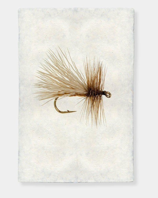 CADDIS VARIANT - PRINT